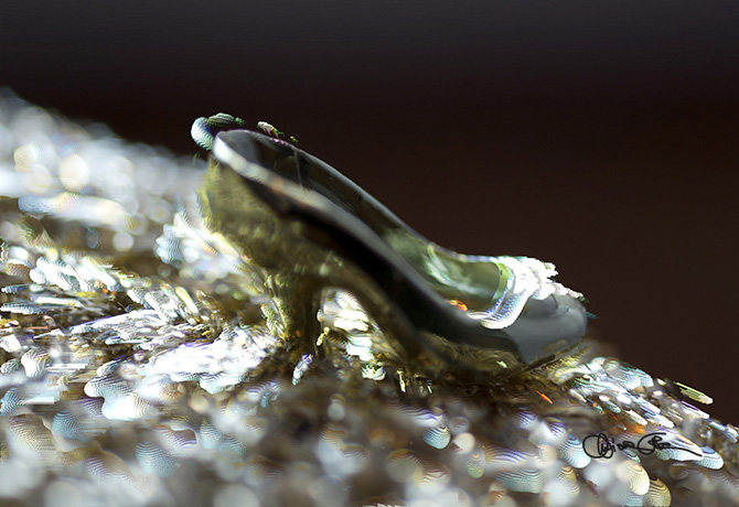 Secret life of shoes by Chiara Cola